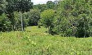 Vendo Finca Ganadera Barrancabermeja