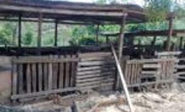 Vendo Finca Ganadera Barrancabermeja