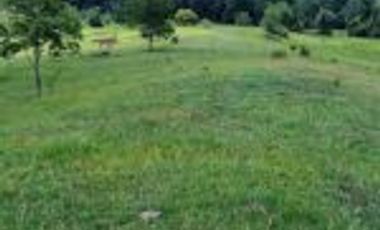 Vendo Finca Ganadera Barrancabermeja