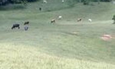 Vendo Finca Ganadera Barrancabermeja