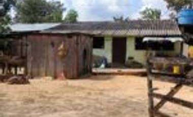 Vendo Finca Ganadera Barrancabermeja