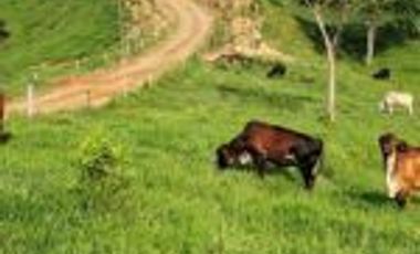 Vendo Finca Ganadera en Cimitarra Santader