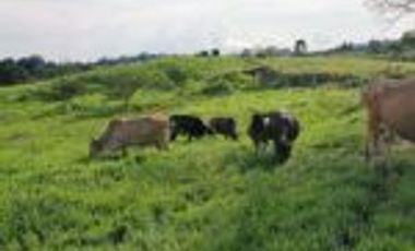 Vendo Finca Ganadera en Cimitarra Santader