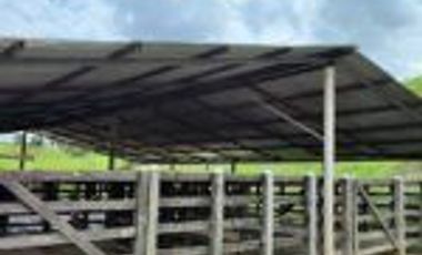 Vendo Finca Ganadera en Cimitarra Santader