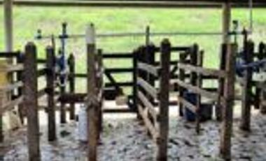 Vendo Finca Ganadera en Cimitarra Santader