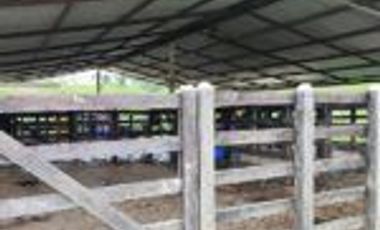 Vendo Finca Ganadera en Cimitarra Santader