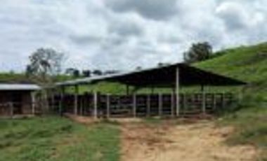 Vendo Finca Ganadera en Cimitarra Santader