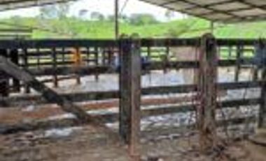 Vendo Finca Ganadera en Cimitarra Santader