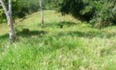 Vendo Finca Ganadera de 207 Hectáreas en Barrancabermeja