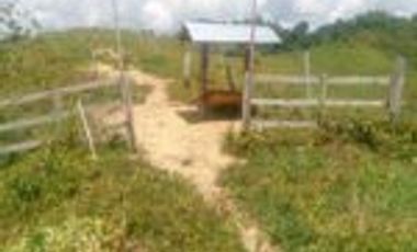 Vendo Finca Ganadera de 207 Hectáreas en Barrancabermeja