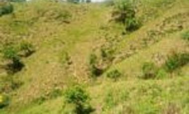 Vendo Finca Ganadera de 207 Hectáreas en Barrancabermeja