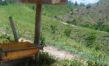 Vendo Finca Ganadera de 207 Hectáreas en Barrancabermeja