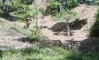 Vendo Finca Ganadera de 207 Hectáreas en Barrancabermeja