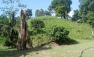 Vendo Finca Ganadera de 207 Hectáreas en Barrancabermeja