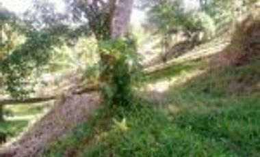 Vendo Finca Ganadera de 207 Hectáreas en Barrancabermeja