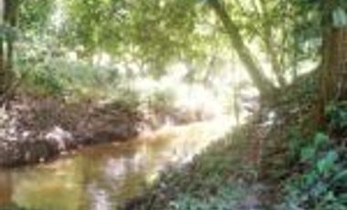 Vendo Finca Ganadera de 207 Hectáreas en Barrancabermeja