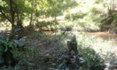 Vendo Finca Ganadera de 207 Hectáreas en Barrancabermeja