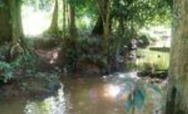 Vendo Finca Ganadera de 207 Hectáreas en Barrancabermeja