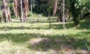 Vendo Finca Ganadera de 207 Hectáreas en Barrancabermeja