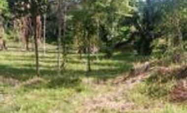 Vendo Finca Ganadera de 207 Hectáreas en Barrancabermeja