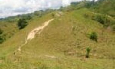 Vendo Finca Ganadera de 207 Hectáreas en Barrancabermeja