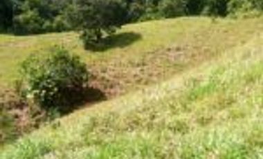 Vendo Finca Ganadera de 207 Hectáreas en Barrancabermeja