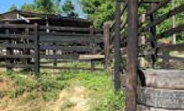 Vendo Finca Ganadera de 207 Hectáreas en Barrancabermeja