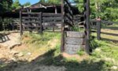 Vendo Finca Ganadera de 207 Hectáreas en Barrancabermeja