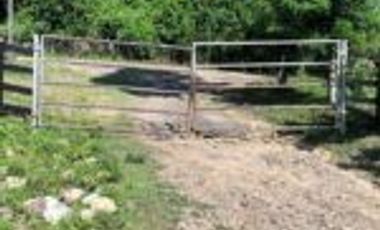 Vendo Finca Ganadera de 207 Hectáreas en Barrancabermeja