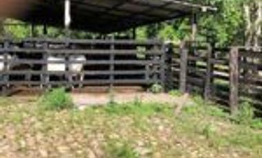Vendo Finca Ganadera de 207 Hectáreas en Barrancabermeja