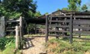 Vendo Finca Ganadera de 207 Hectáreas en Barrancabermeja