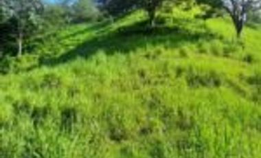 Vendo Finca Ganadera en San Alberto Santander