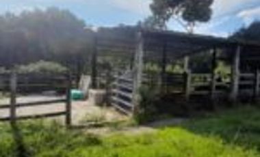 Vendo Finca Ganadera en San Alberto Santander