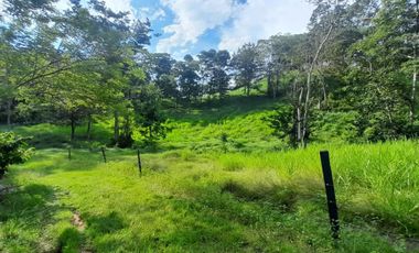 Vendo Finca Ganadera en San Alberto Santander