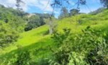 Vendo Finca Ganadera en San Alberto Santander