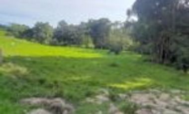 Vendo Finca Ganadera en San Alberto Santander