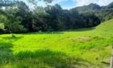 Vendo Finca Ganadera en San Alberto Santander