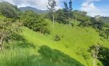 Vendo Finca Ganadera en San Alberto Santander