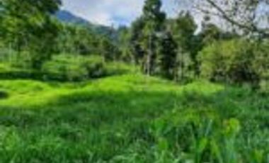 Vendo Finca Ganadera Zapatoca Santander