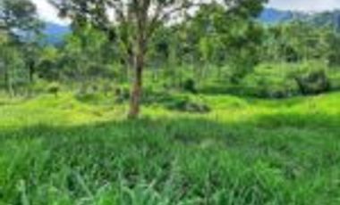 Vendo Finca Ganadera Zapatoca Santander