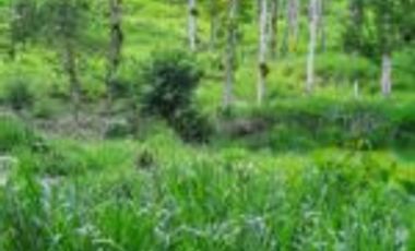 Vendo Finca Ganadera Zapatoca Santander