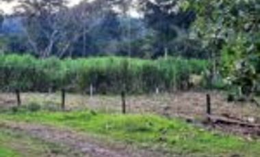 Vendo Finca Ganadera Zapatoca Santander