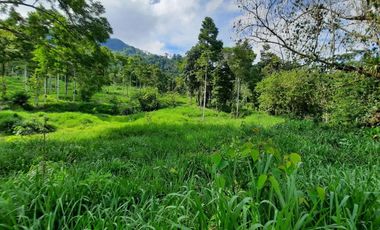 Vendo Finca Ganadera Zapatoca Santander