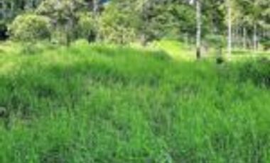 Vendo Finca Ganadera Zapatoca Santander