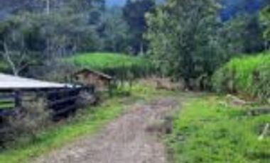 Vendo Finca Ganadera Zapatoca Santander