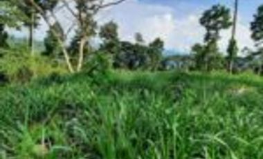 Vendo Finca Ganadera Zapatoca Santander