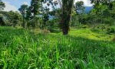 Vendo Finca Ganadera Zapatoca Santander