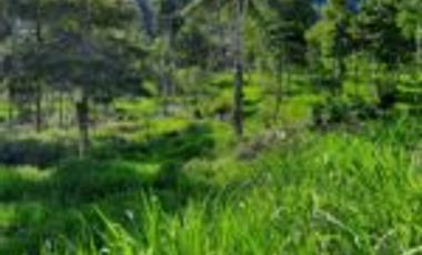 Vendo Finca Ganadera Zapatoca Santander