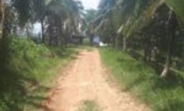 Vendo Finca Ganadera San Vicente de Chucurí