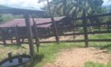 Vendo Finca Ganadera San Vicente de Chucurí